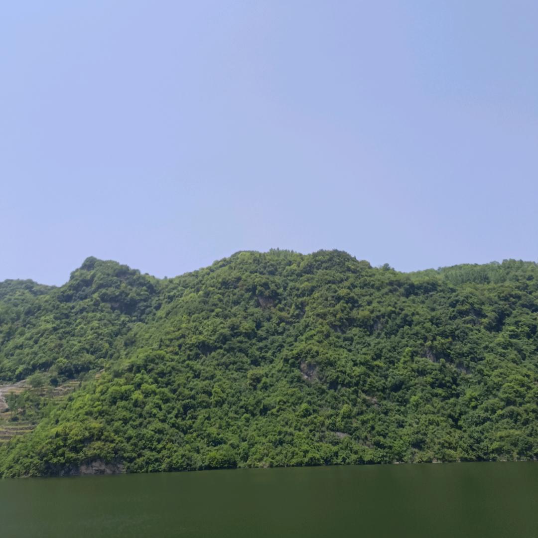 烟是寂、酒是孤