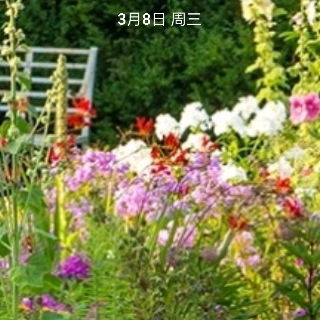 你好靓妹！我是阳江人