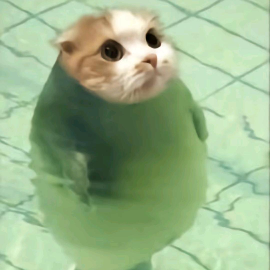 ❣️❣️💗💗