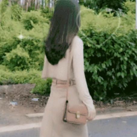 风姐