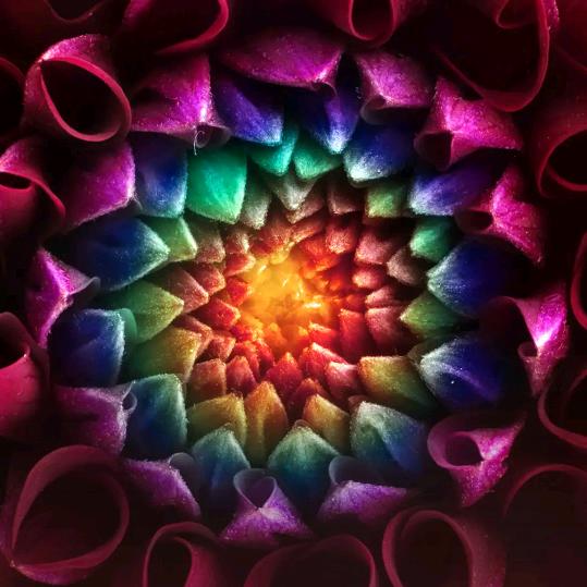 余生只想做自己的女王