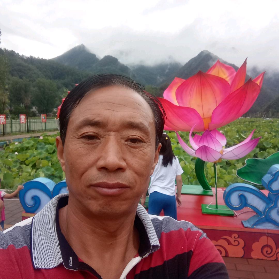 荷花小镇