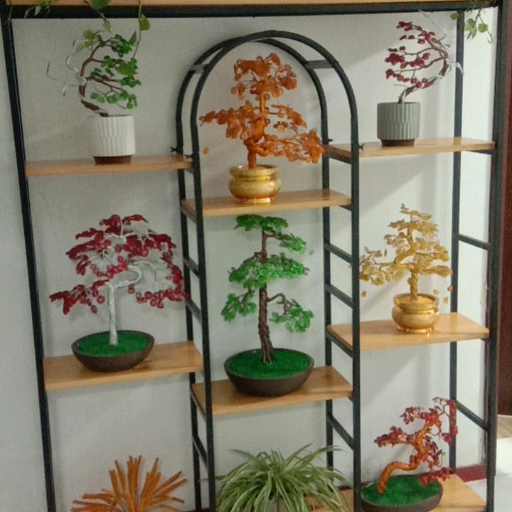 走天下