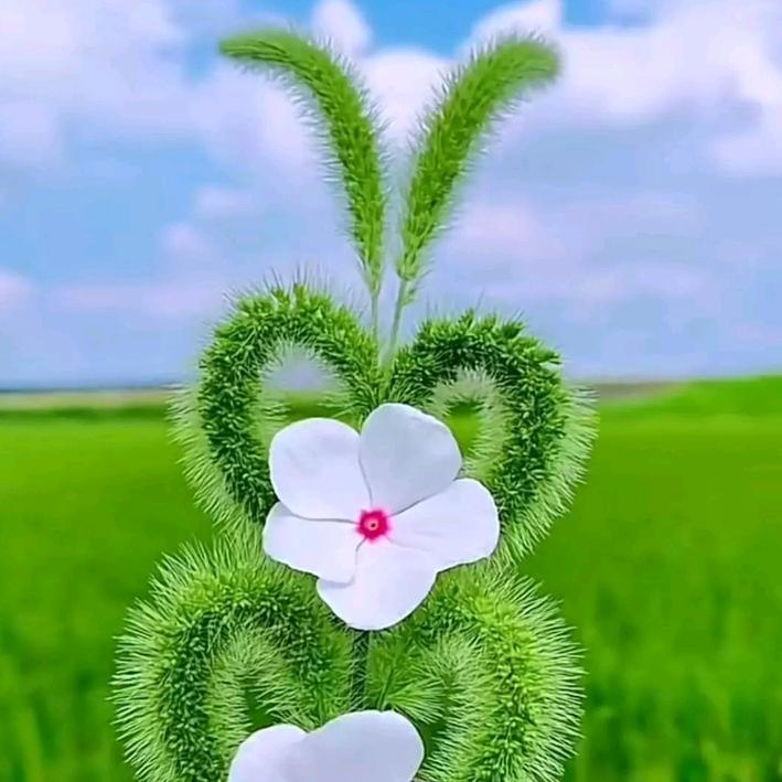 在变老的路上善待自己