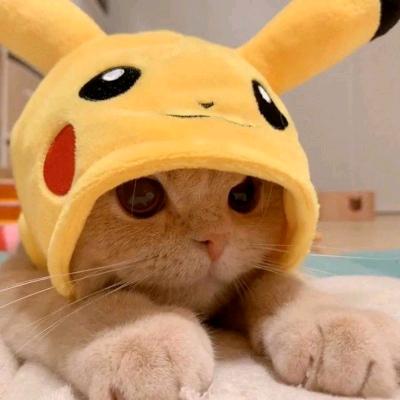 蛋蛋后小七❤️