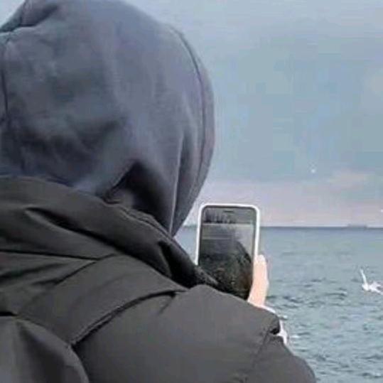 如意