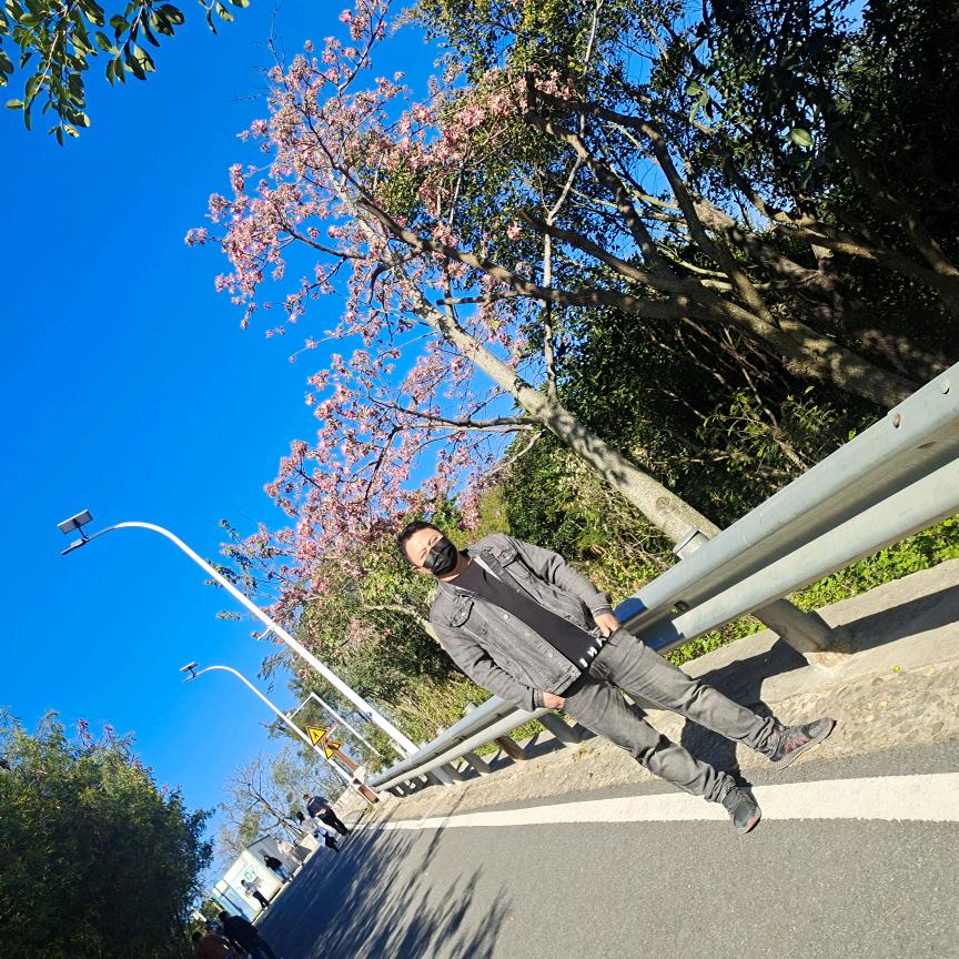 伤我，你疼吗