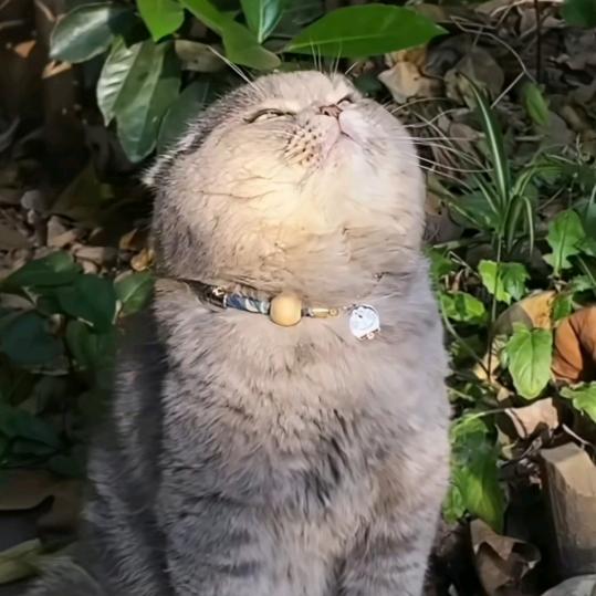 🌈玄境