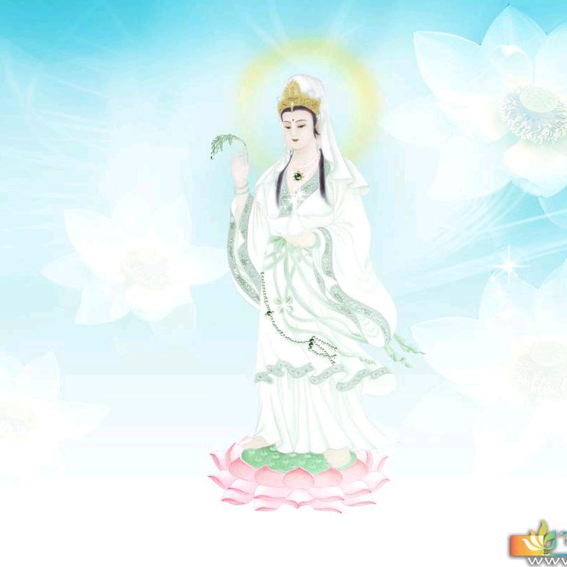 无敌繁华