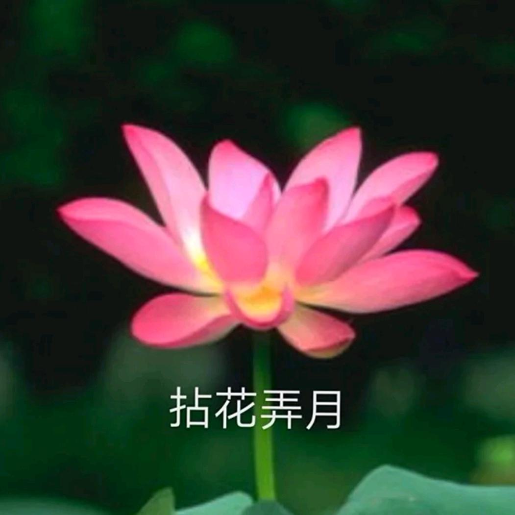 知足常乐.