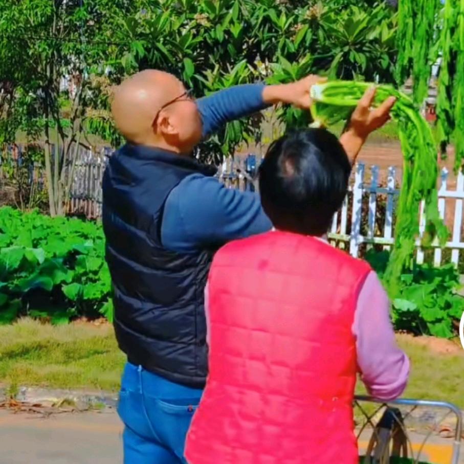 闲不住的老程