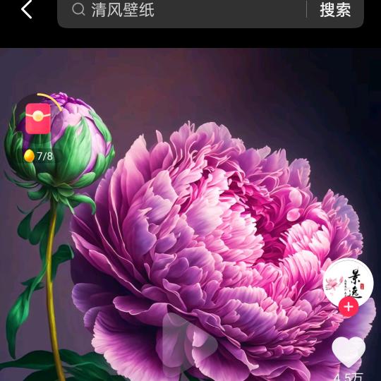 福红药材（牡丹皮）