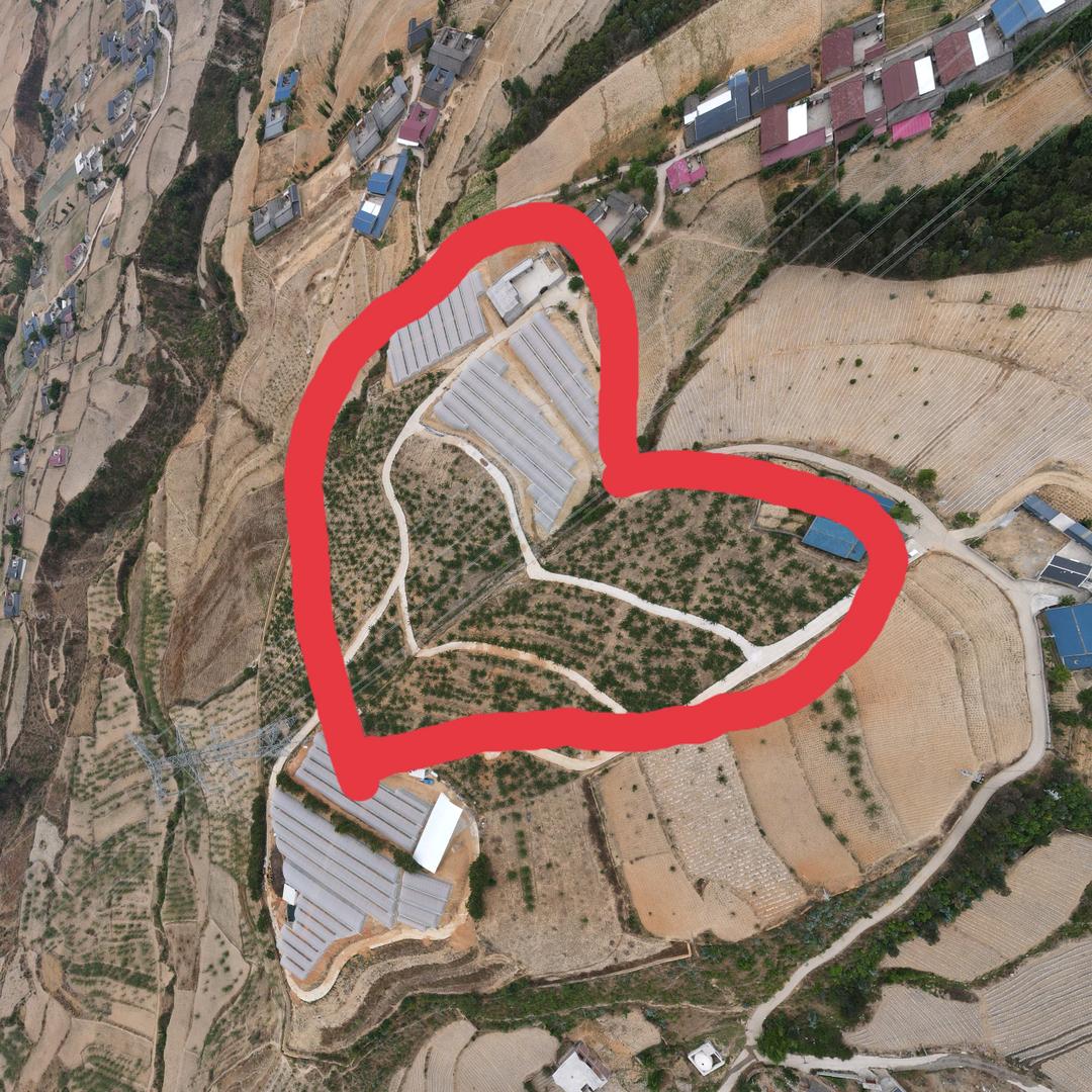 喜德县新益车厘子园