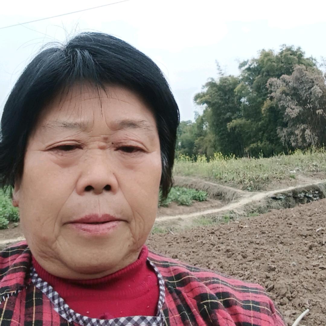 蒲大姐