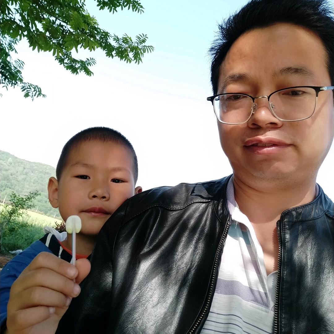 仙《陈》蜂业