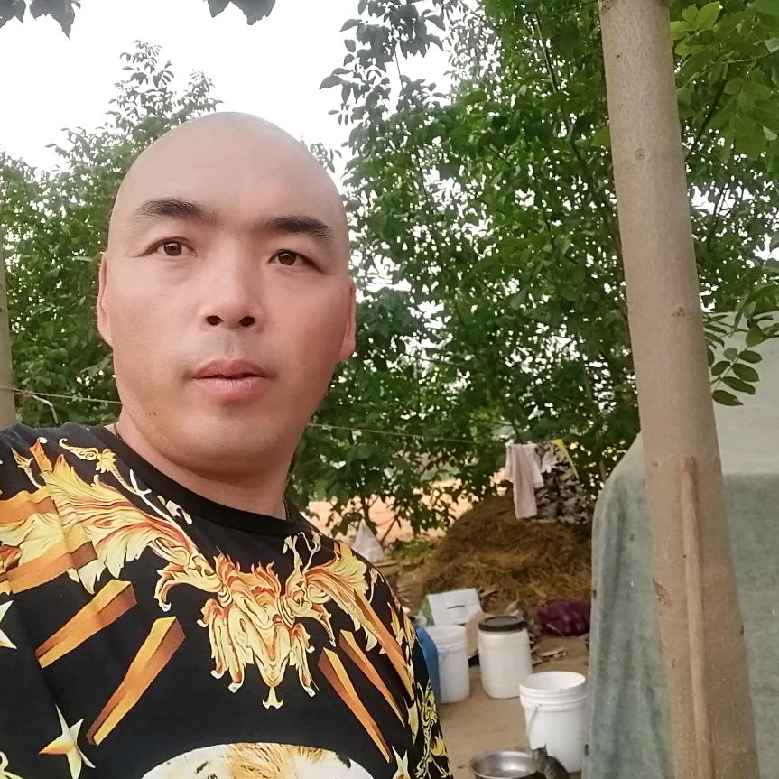 我的心永远在等待