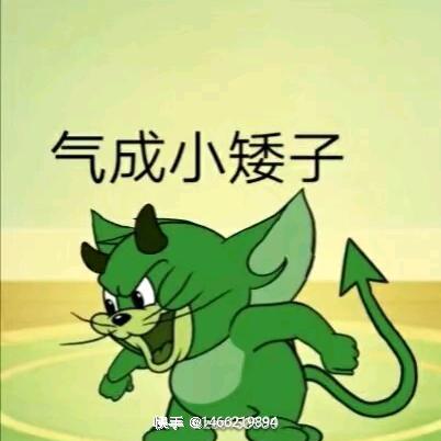 小孝素