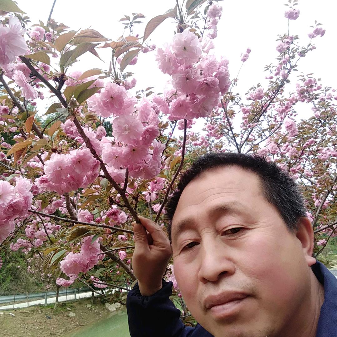 王总