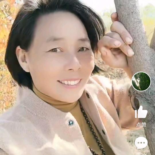 艾缘花卉盆景官方号