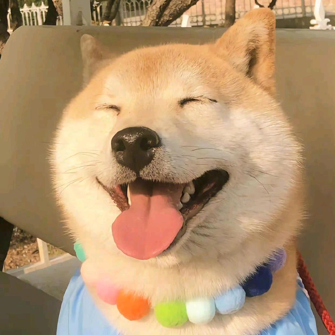 小刘小刘看得直流哈喇子🤤