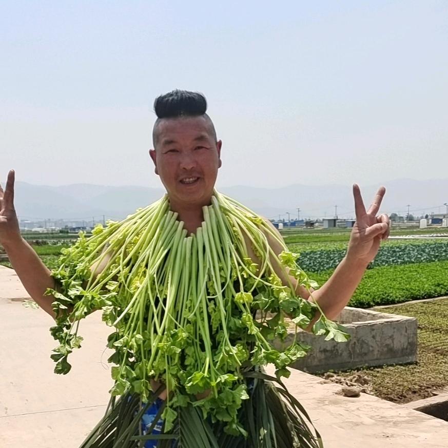 菜山药