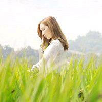 晓晓