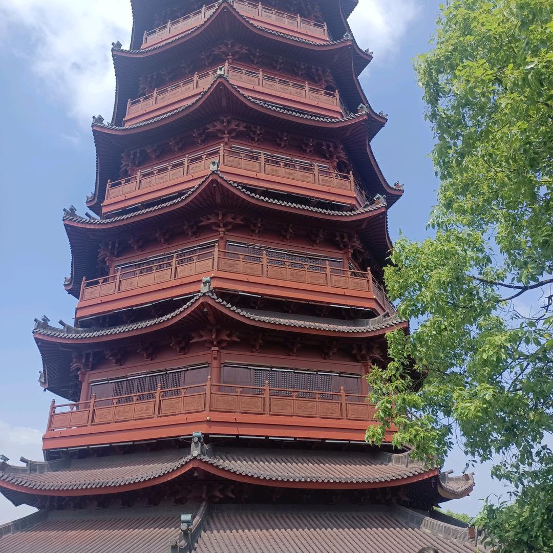 76年十一月的龙