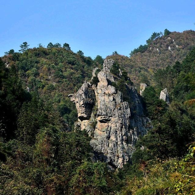 不过是些许风霜罢了🐍