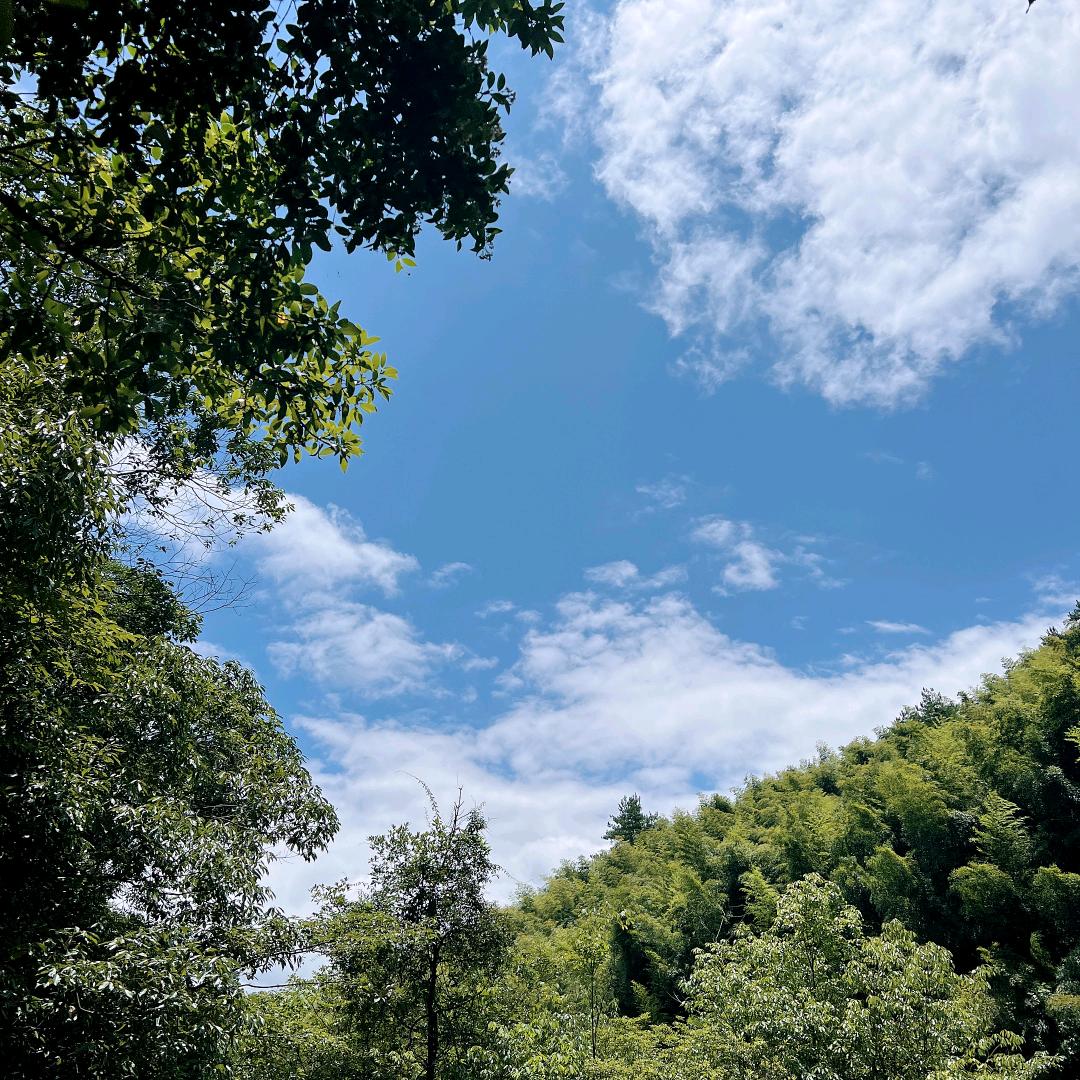 🍃风轻云淡