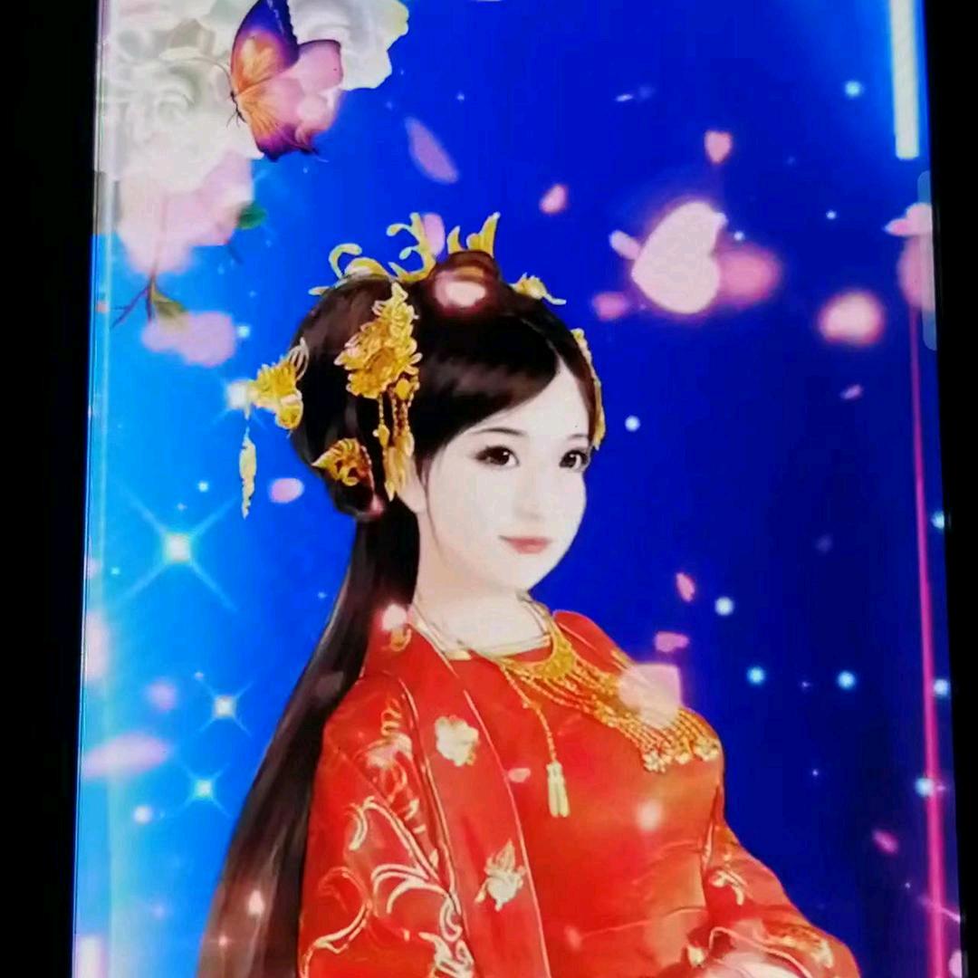 真梦想成真
