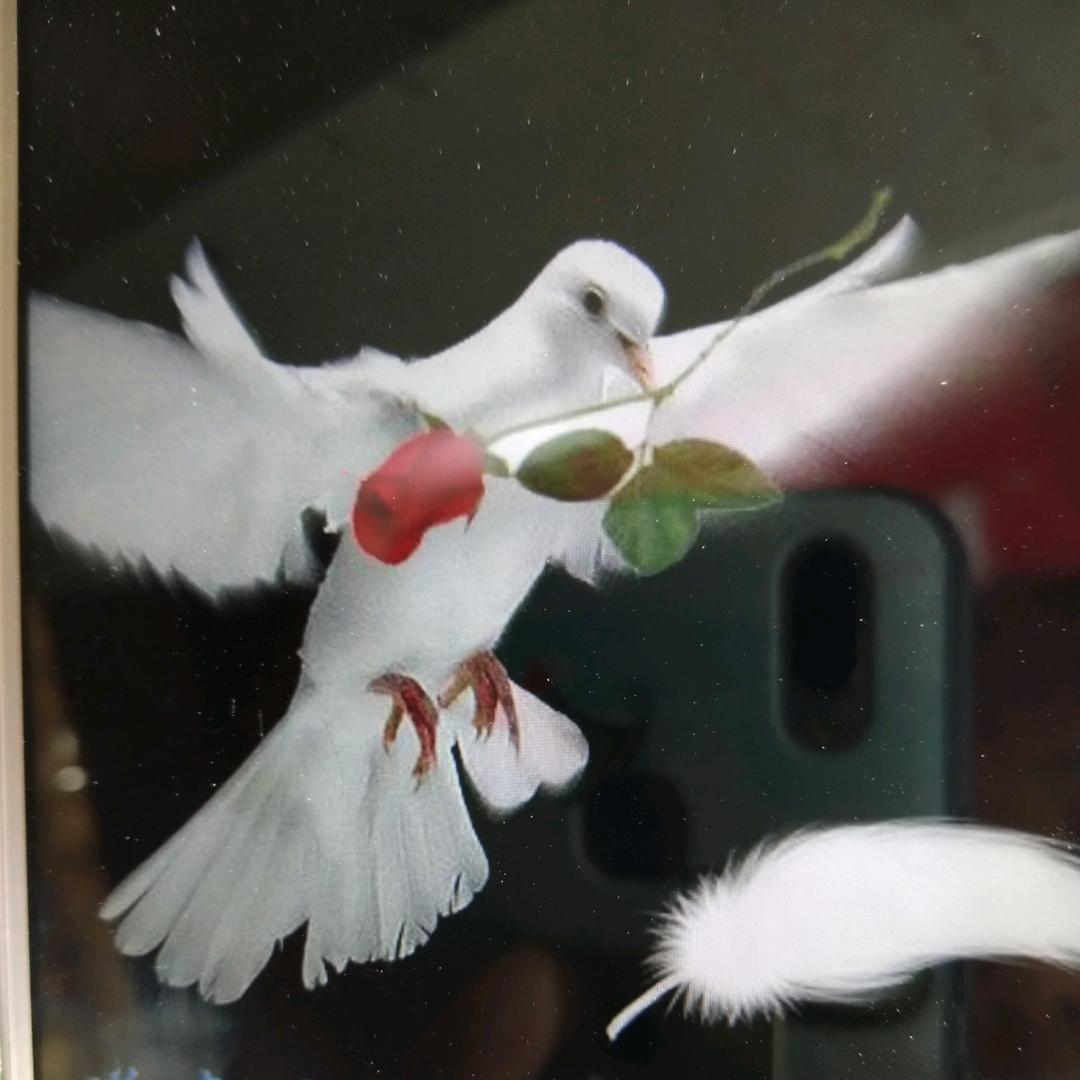 ^O^回归自然^O^（拒绝私聊）