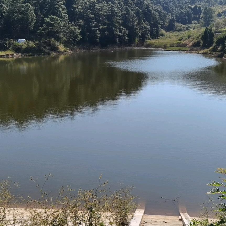 —燃