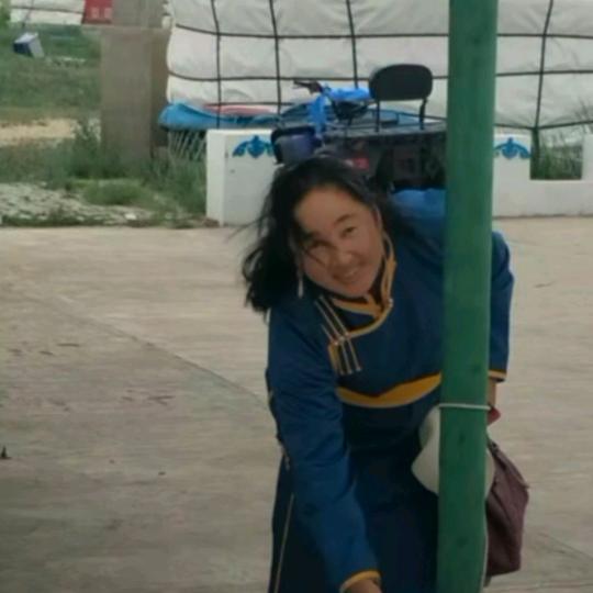 图雅