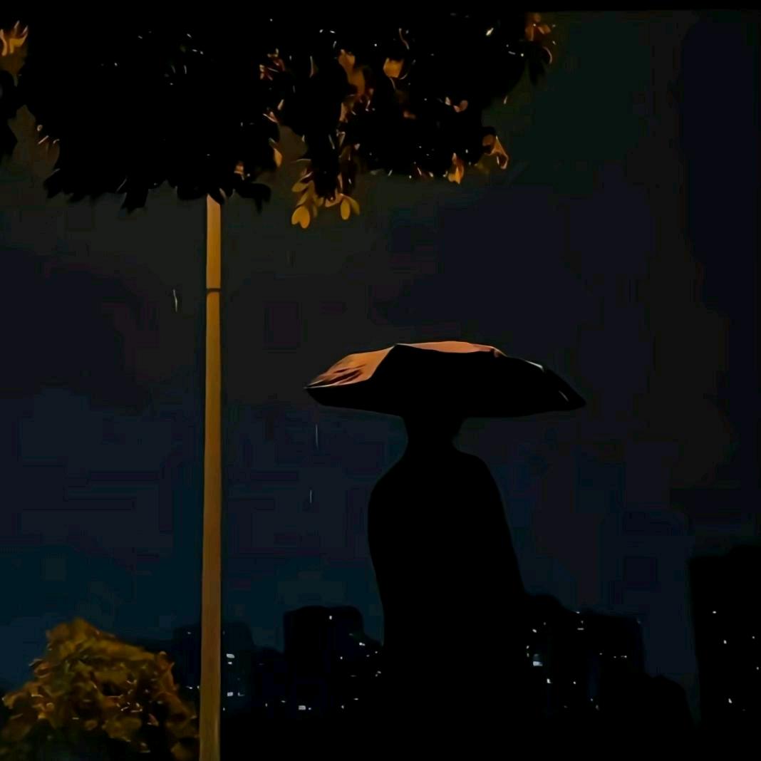 可乐🍂