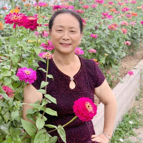 梅花手势舞