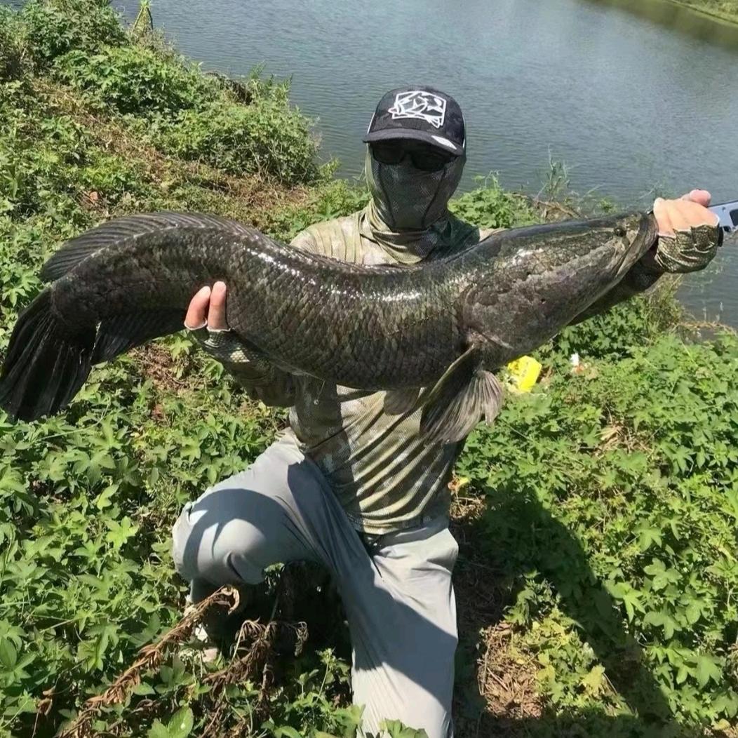 浔阳钓鱼人