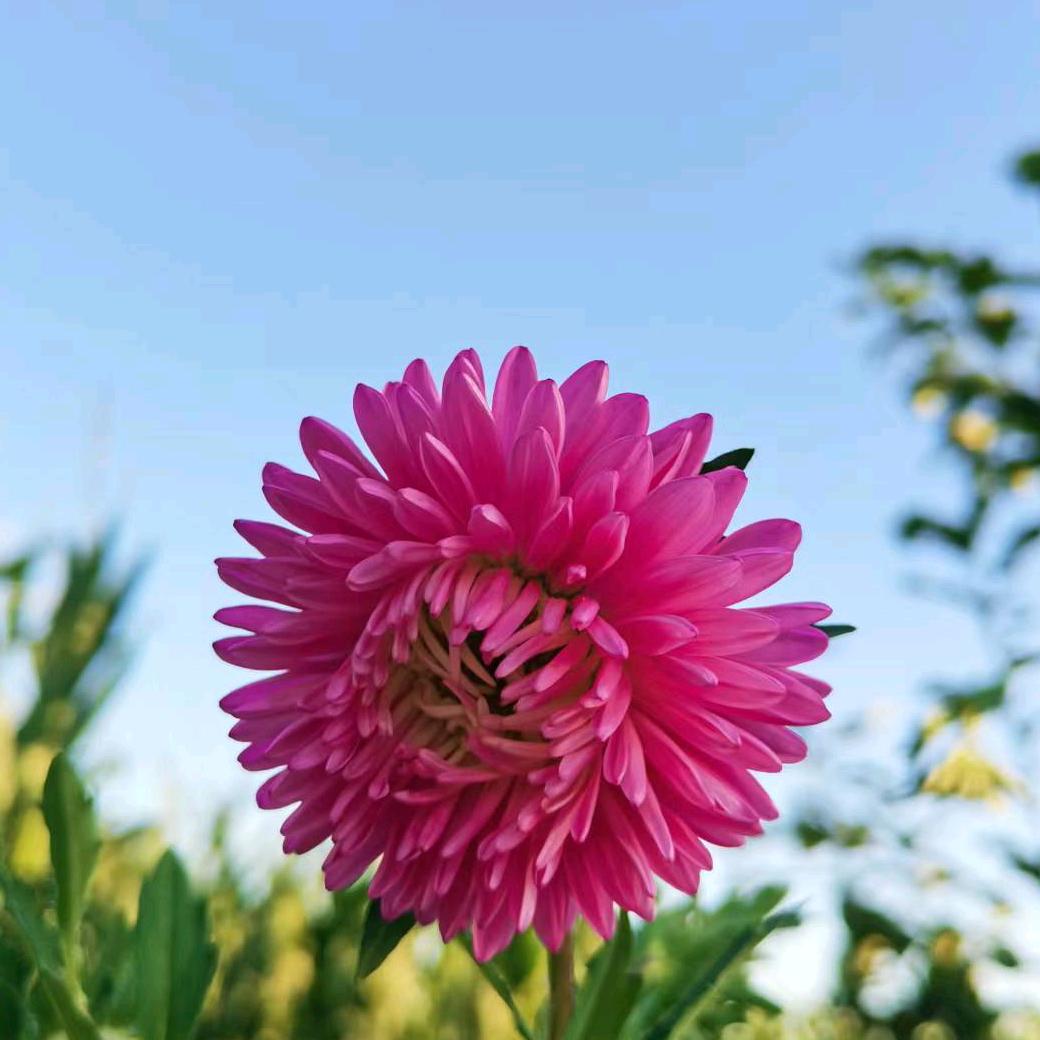 ～秋日私语~