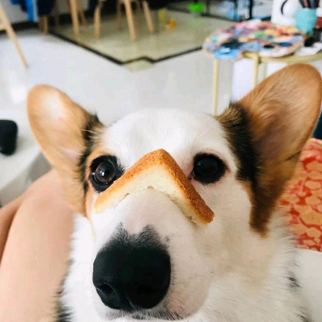H程