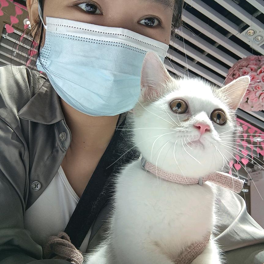 且听风吟，静待花开