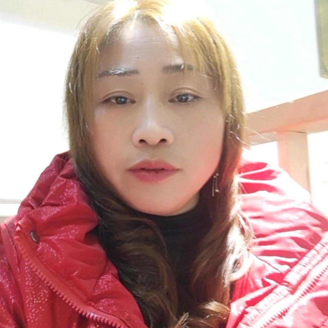 小燕子的日常