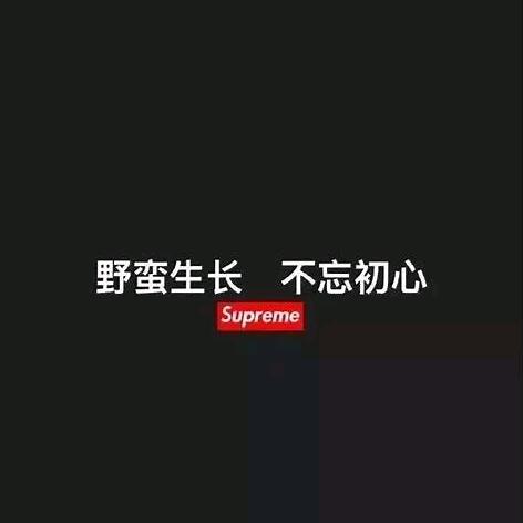 不过是些许风霜头像