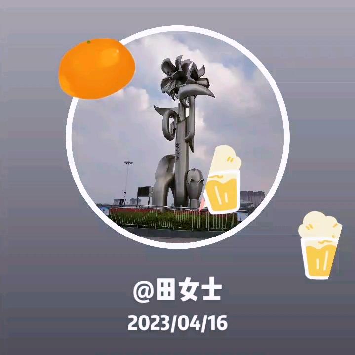 田女士
