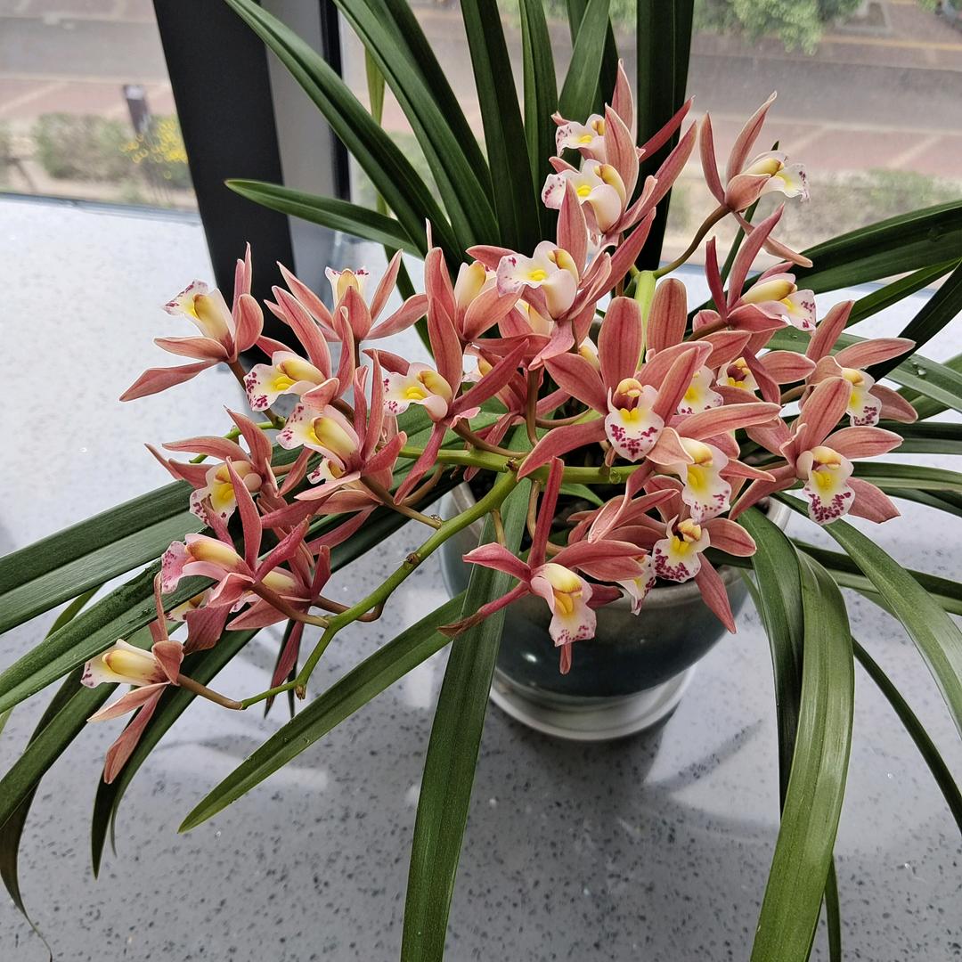 谢谢有你陪伴