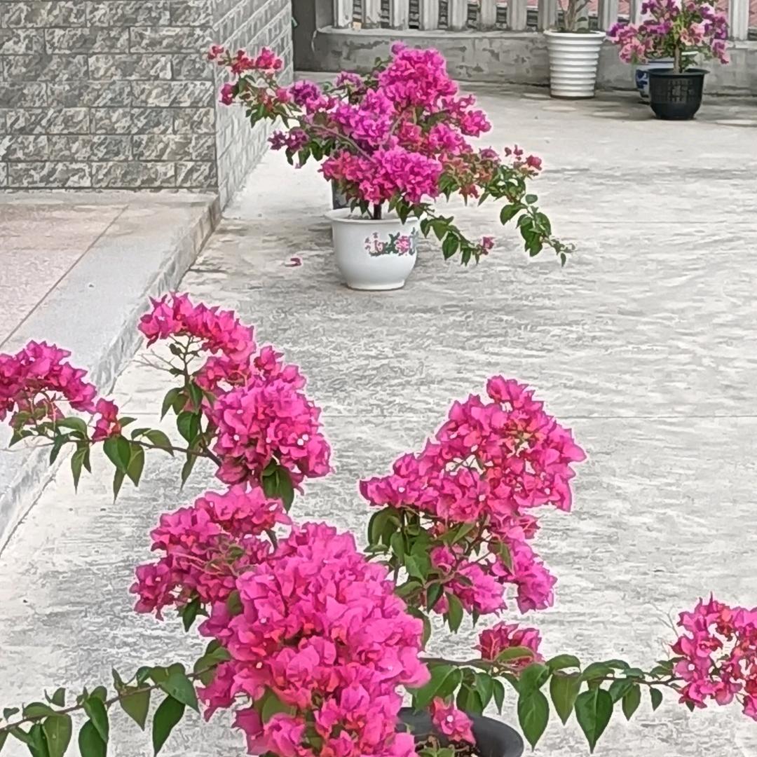 小佳碧玉～拒绝私聊