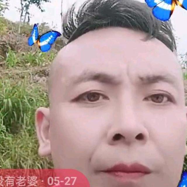 公子哥砖业纷刷