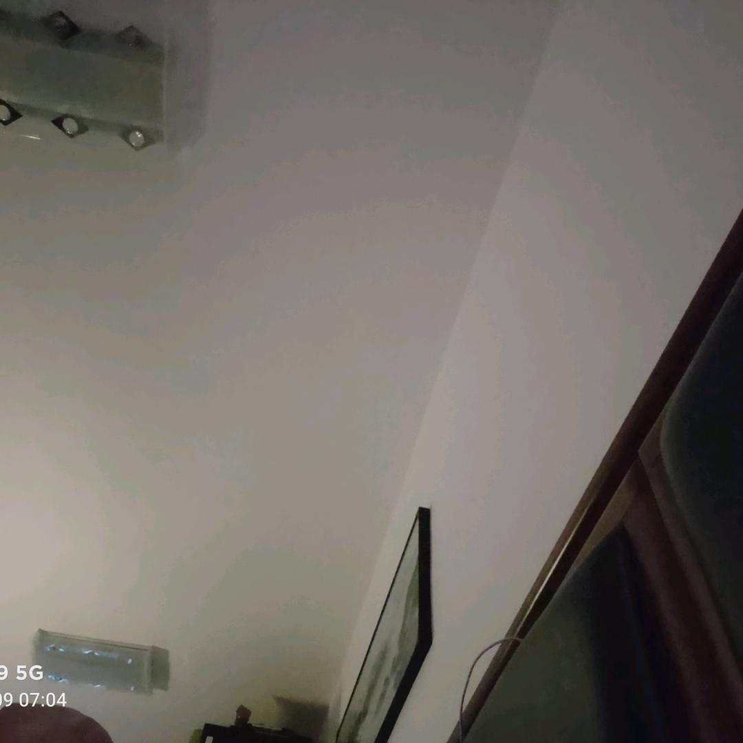 老莫，我想吃鱼了。