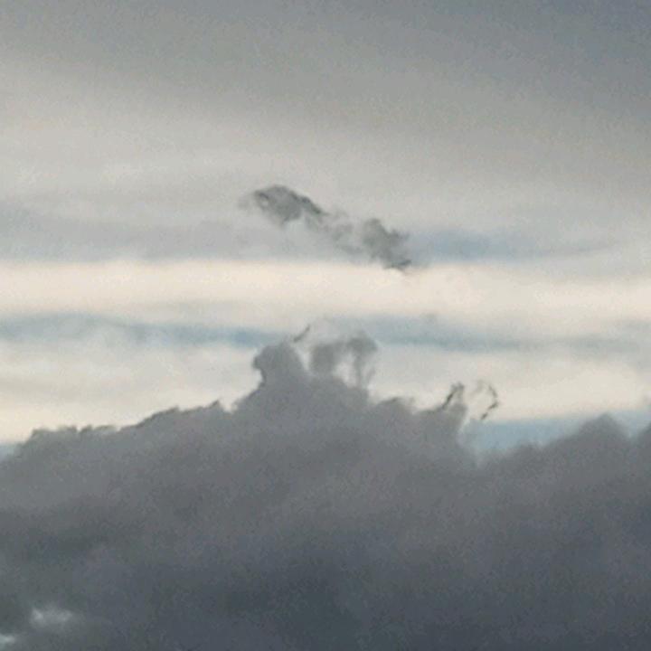 ৡৢﺴﻬ✿陌上花开✿ﺴﻬৡ