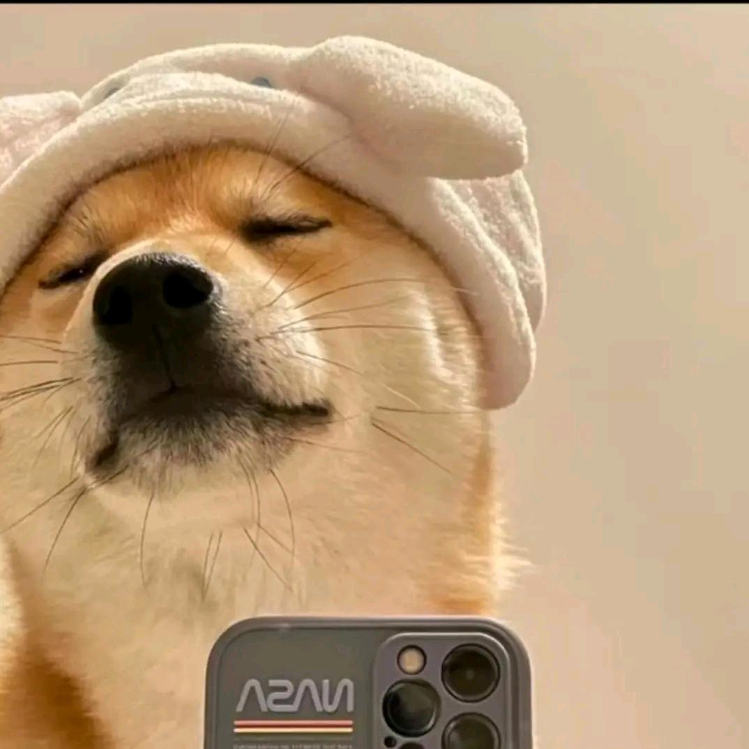 炟狗