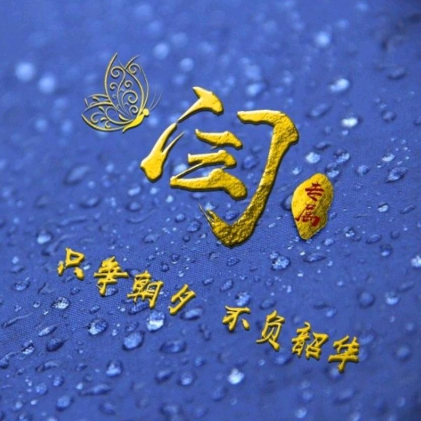 神鹰