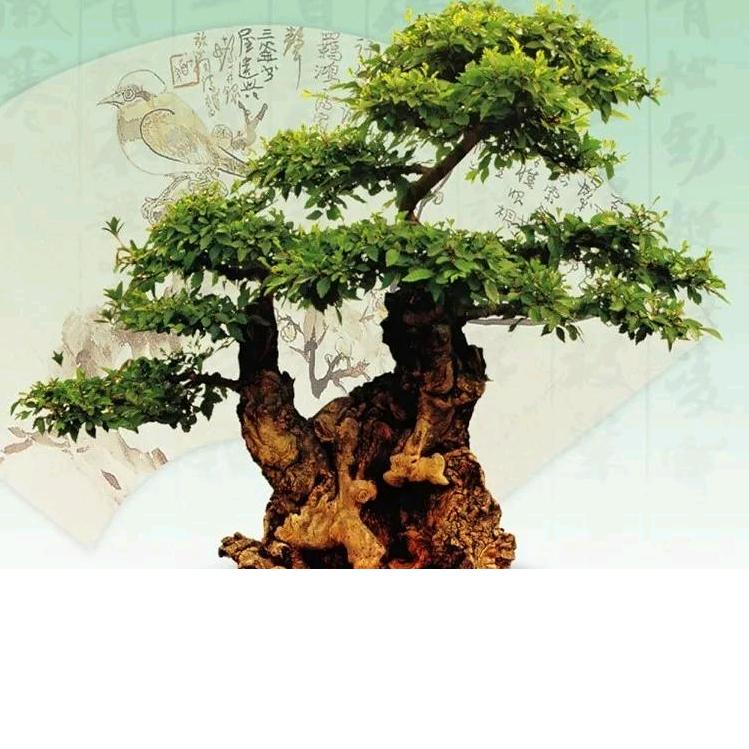 深山微景